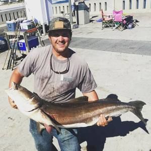 Meet your Posher, Harrison